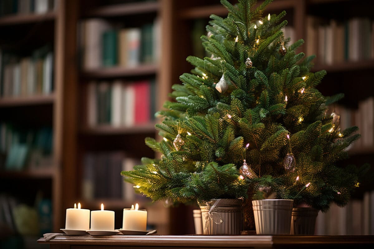 Que faire contre les aiguilles de sapin qui tombent ? Prenez soin de votre sapin de Noël !