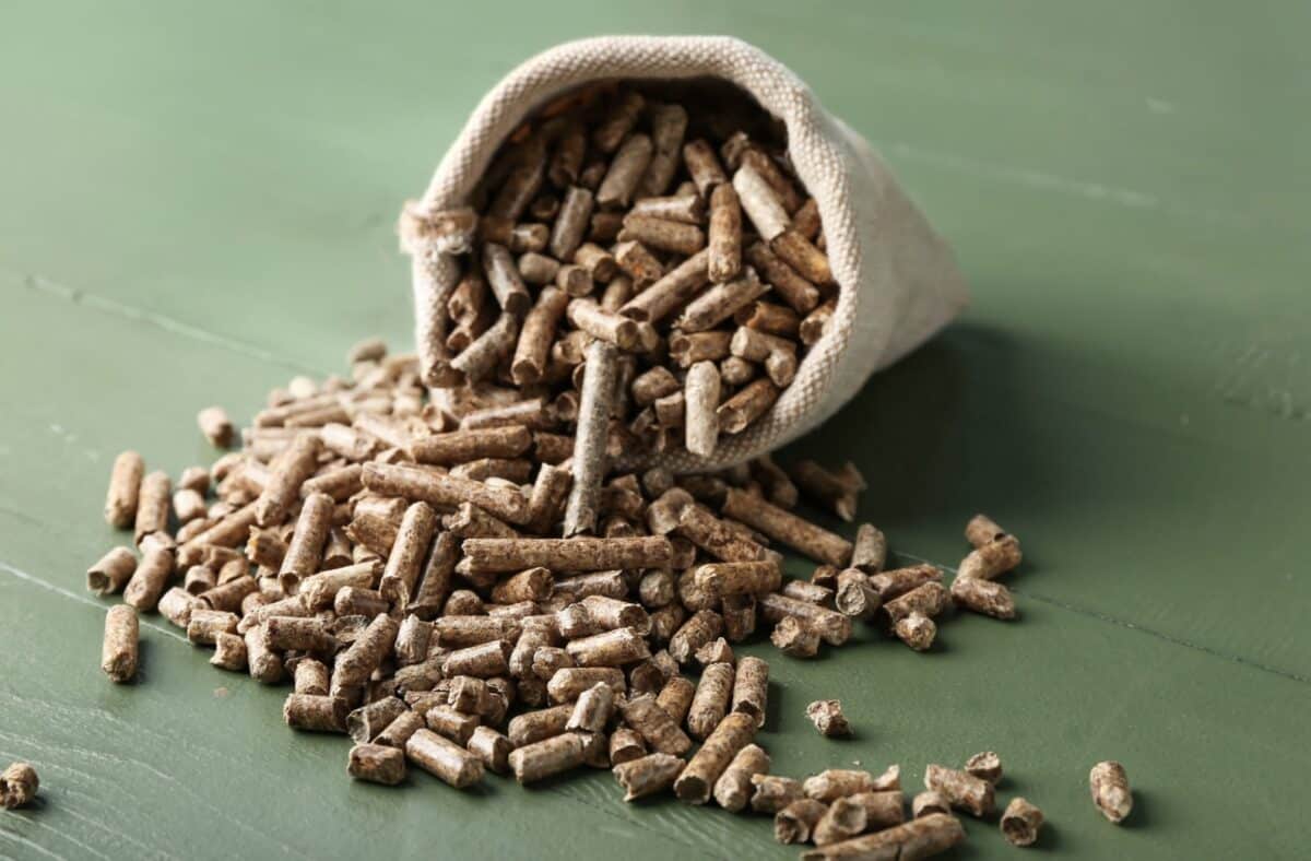 sac pellets