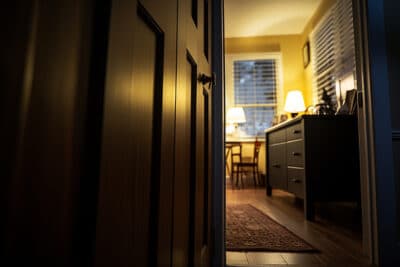 Terreur nocturne : ces insectes mortels qui envahissent votre chambre