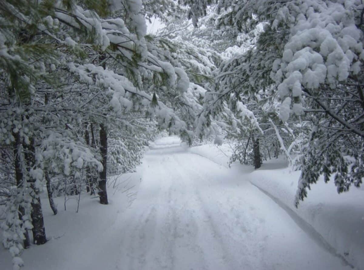 vacances noel neige