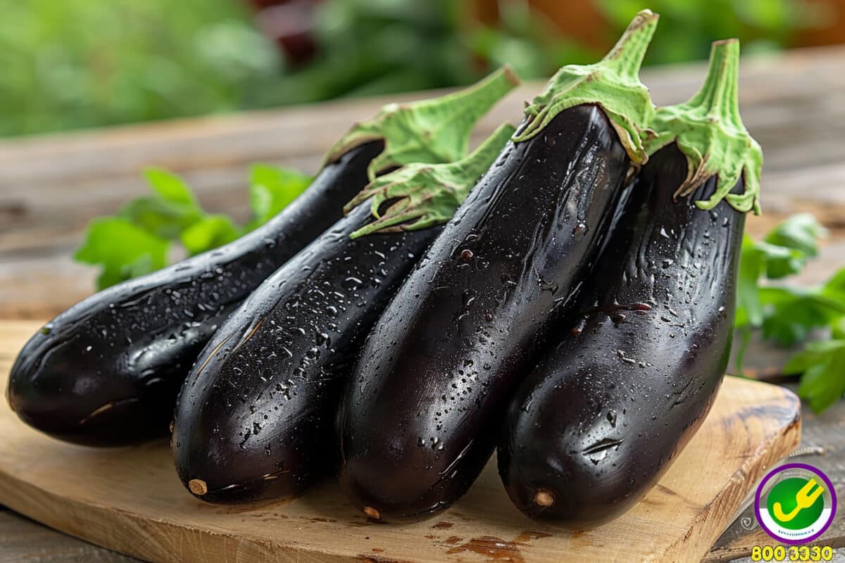 Comment cuisiner l'aubergine de manière créative et gourmande ?