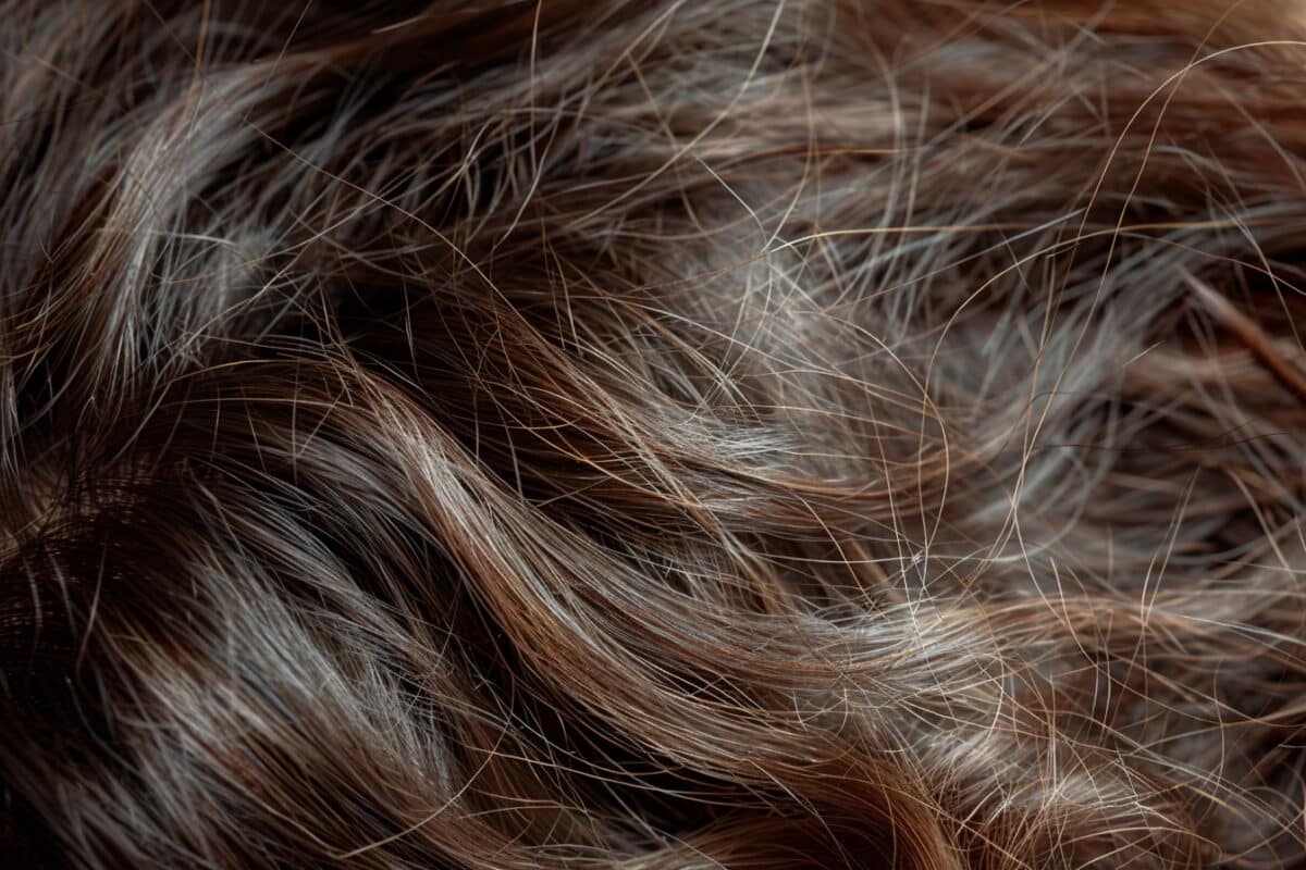 Comment prévenir la chute des cheveux de manière naturelle ?